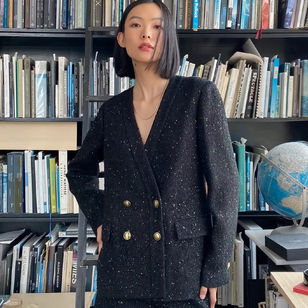 NWT Aritzia Babaton Blazer